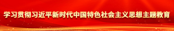 极品少萝喷水学习贯彻习近平新时代中国特色社会主义思想主题教育